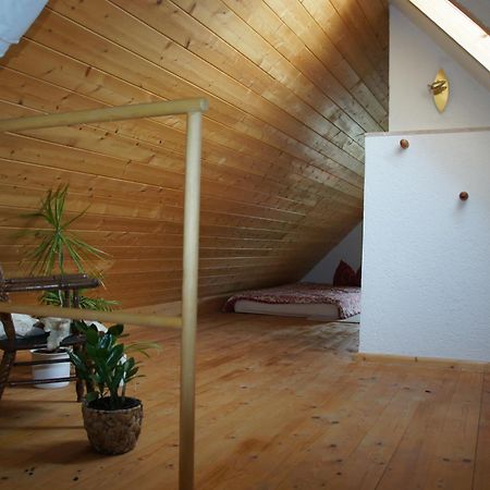 Schwalbennest Kaisitz Apartment ภายนอก รูปภาพ